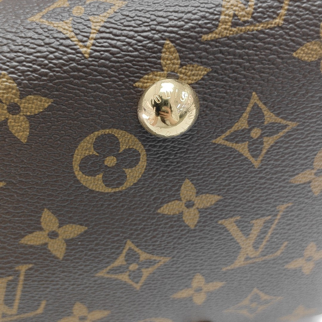 CARRYALL MM Monogram Coated Canvas Brown