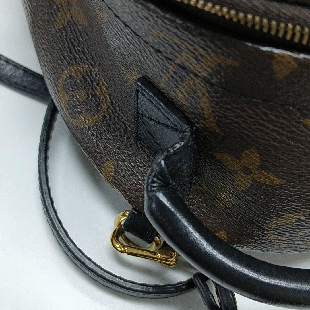 PALM SPRINGS Mini Monogram Coated Canvas Brown