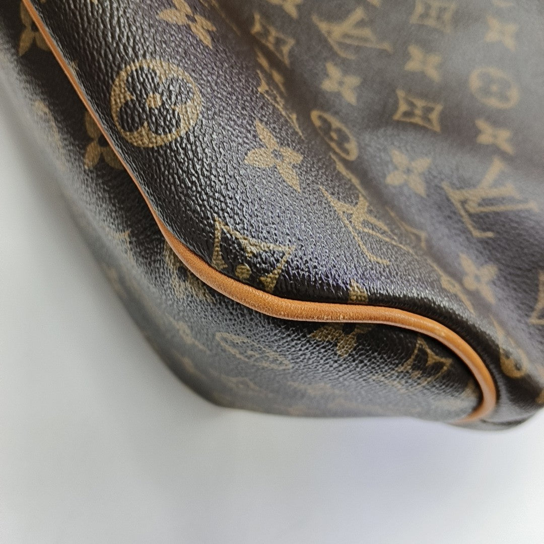 DELIGHTFUL PM Monogram Coated Canvas Brown