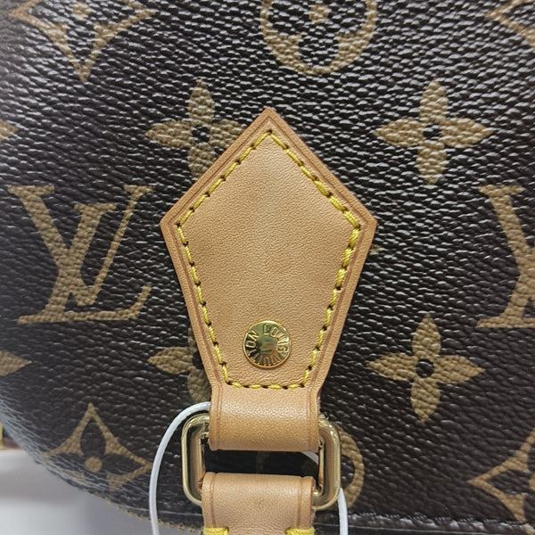 SPEEDY 20 Monogram Coated Canvas Brown