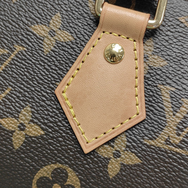 SPEEDY 20 Monogram Coated Canvas Brown