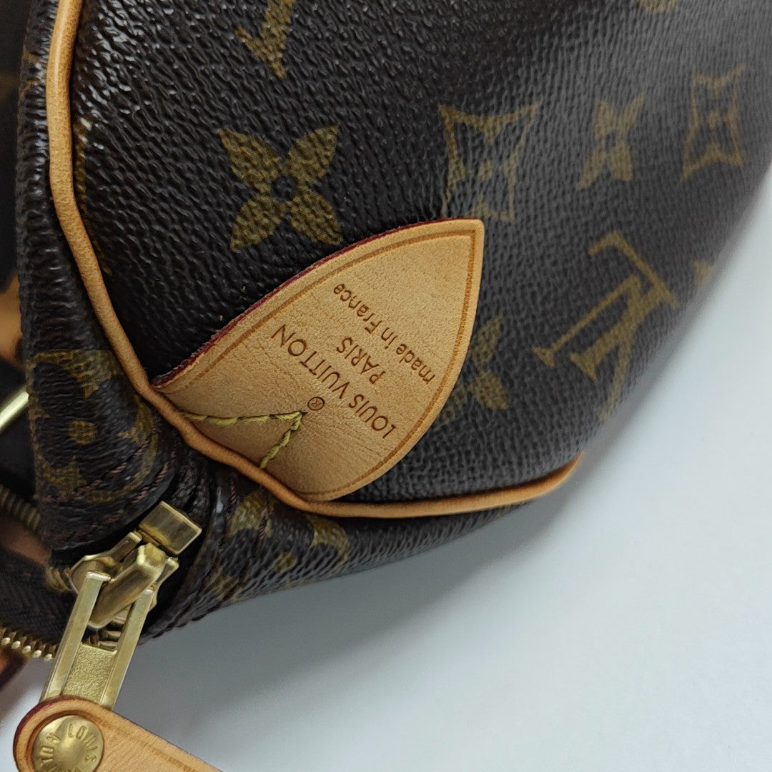 SPEEDY 25 Monogram Coated Canvas Brown