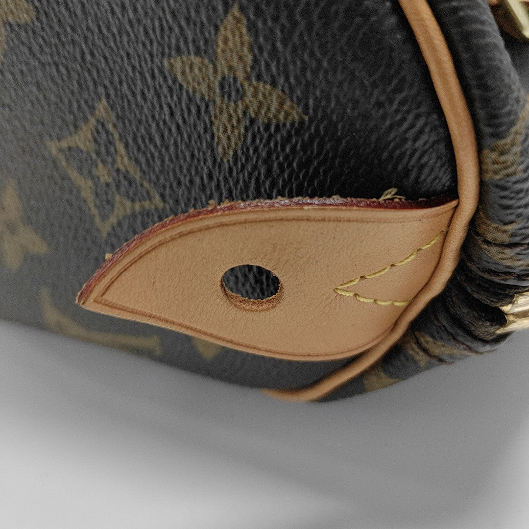 SPEEDY 25 Monogram Coated Canvas Brown