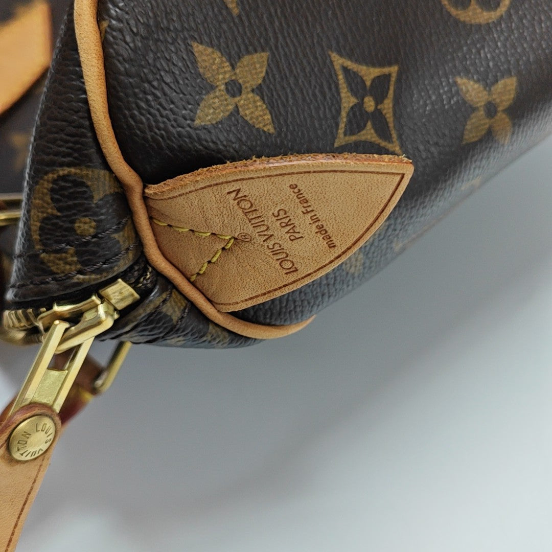 SPEEDY 25 Monogram Coated Canvas Brown