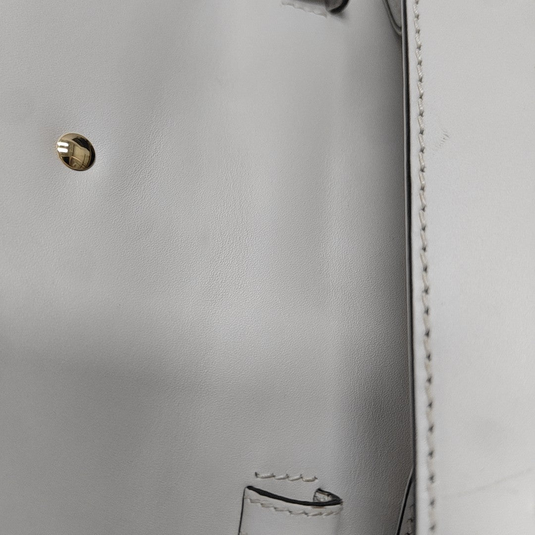 Sylvie Mini Calfskin White