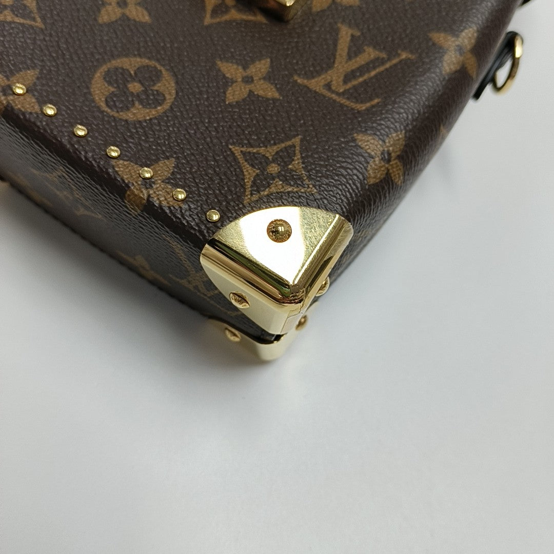 CAMERA BOX Monogram Coated Canvas Brown