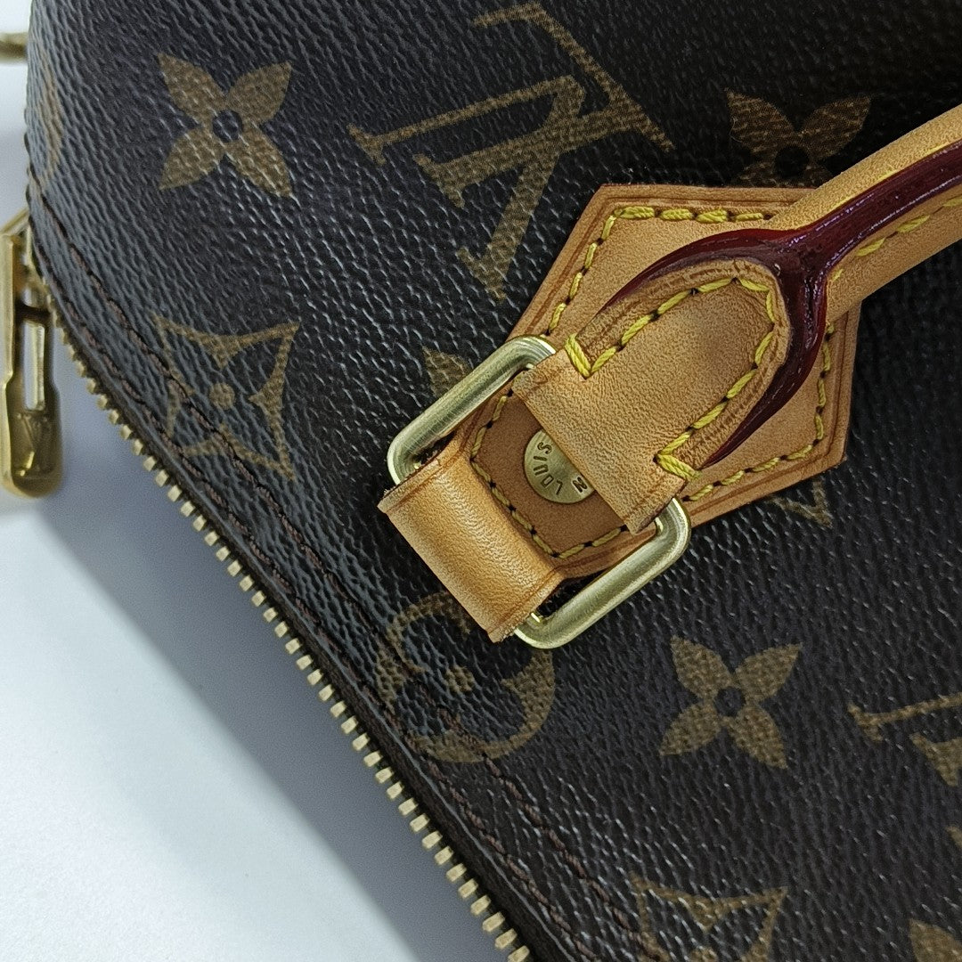 SPEEDY 25 Monogram Coated Canvas Brown