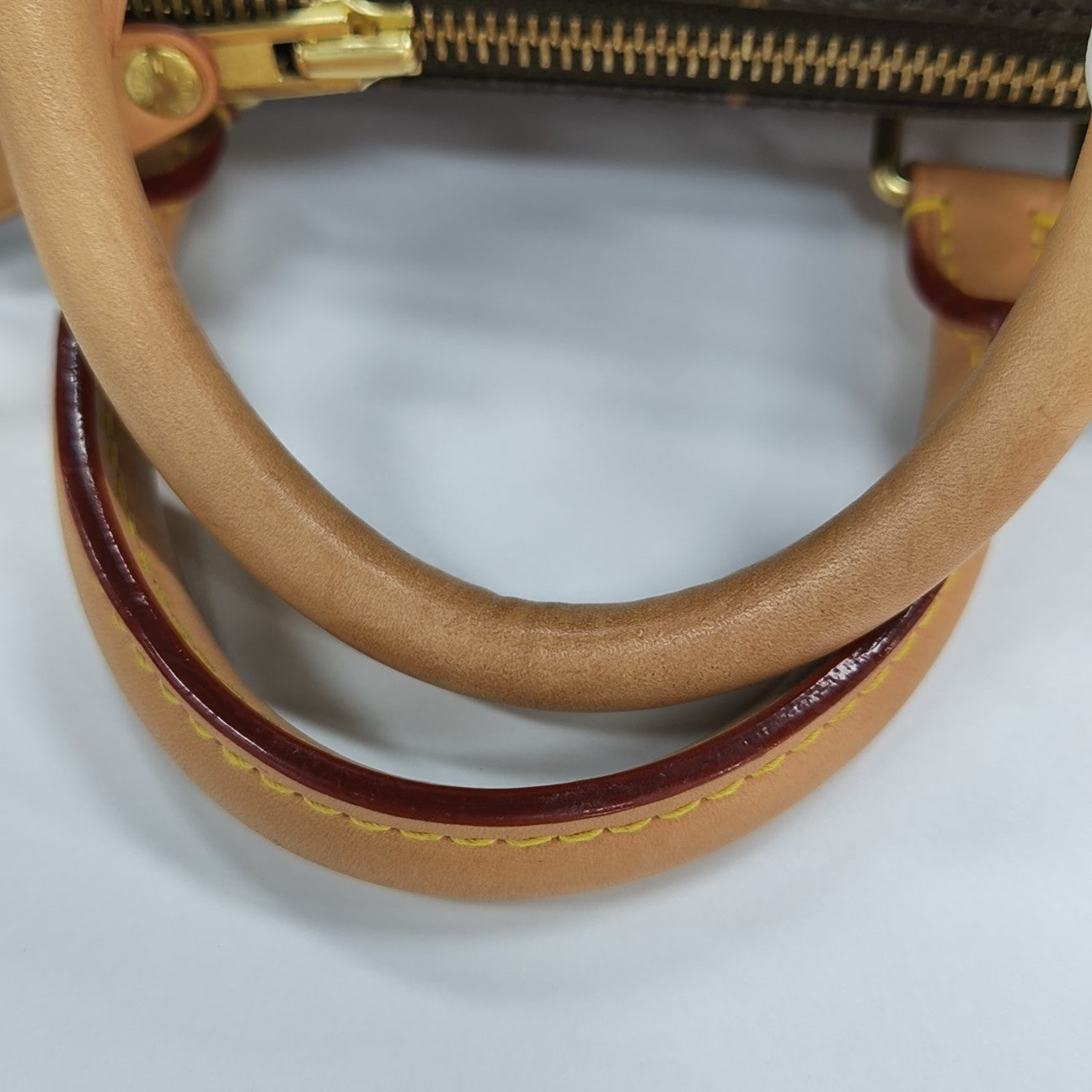 SPEEDY 25 Monogram Coated Canvas Brown
