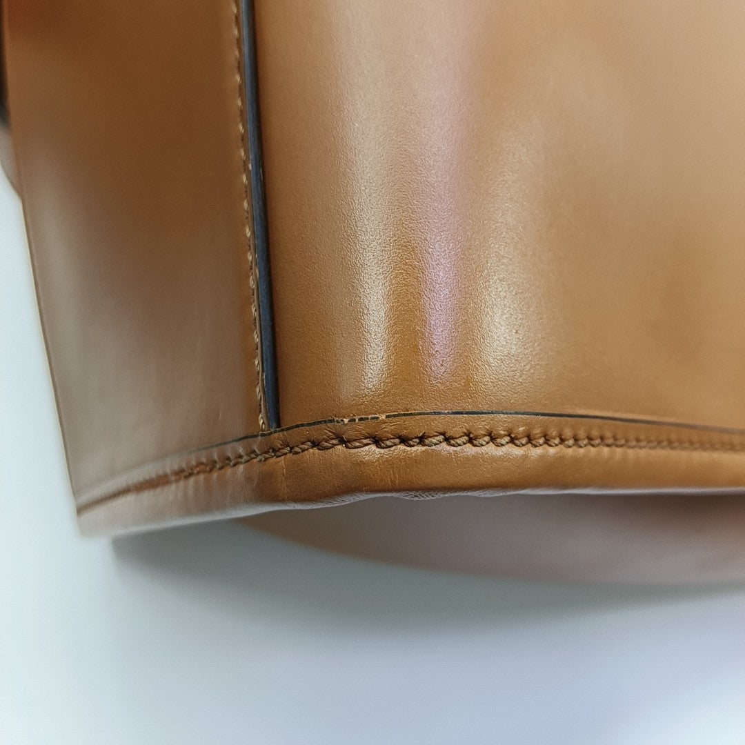 Sunshine Medium Calfskin Brown