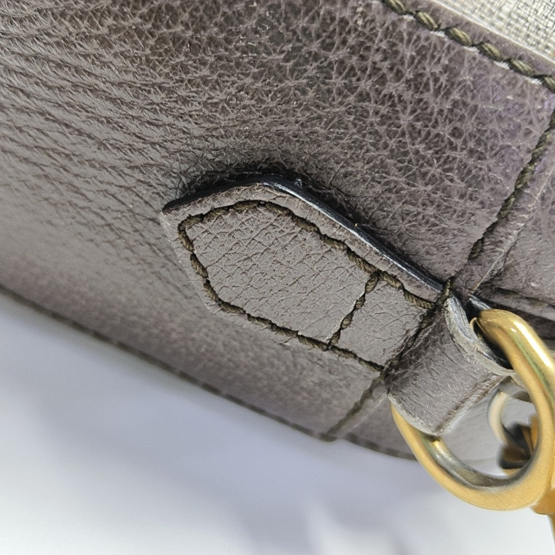 Neo Vintage Monogram Coated Canvas Beige