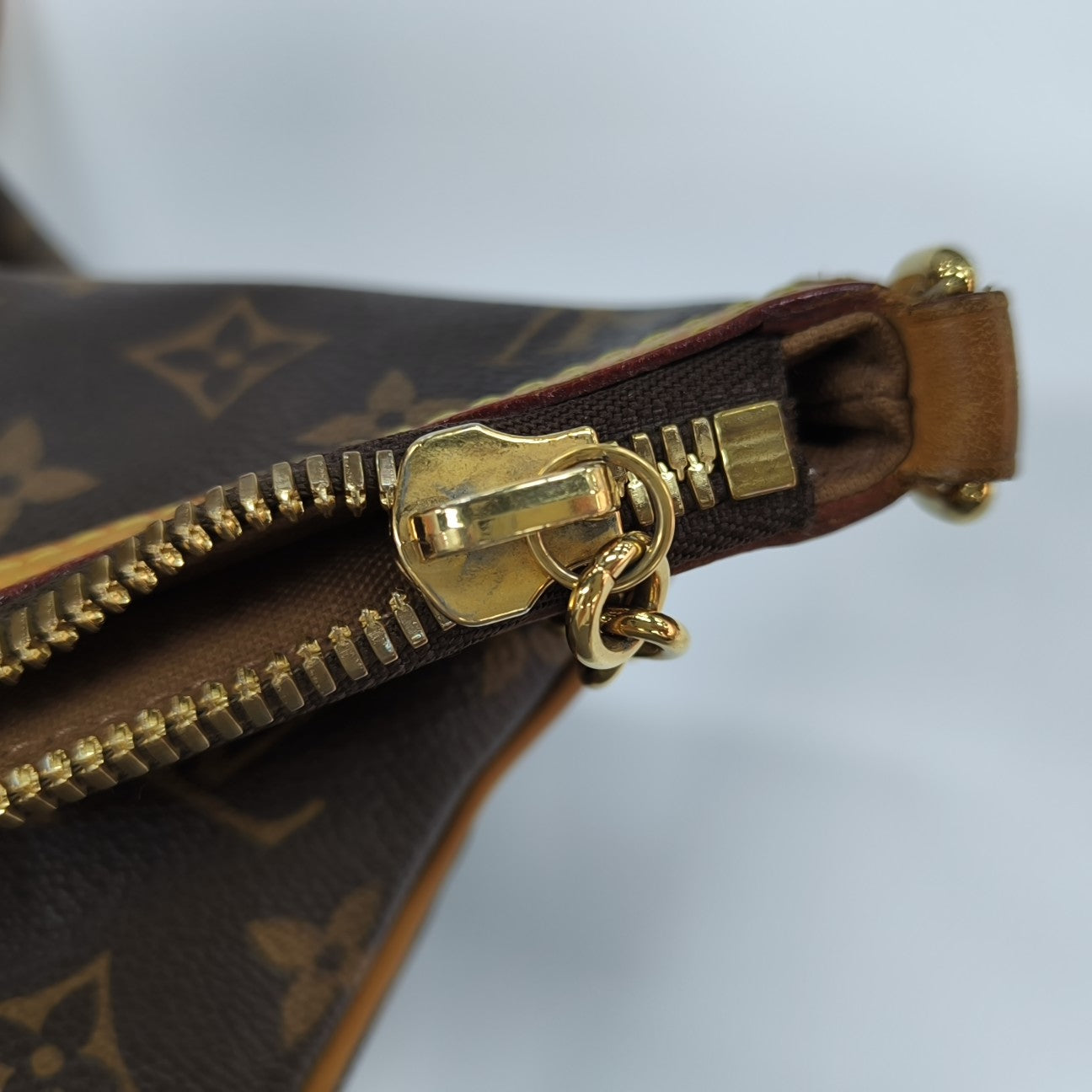 PALERMO GM Monogram Coated Canvas Brown