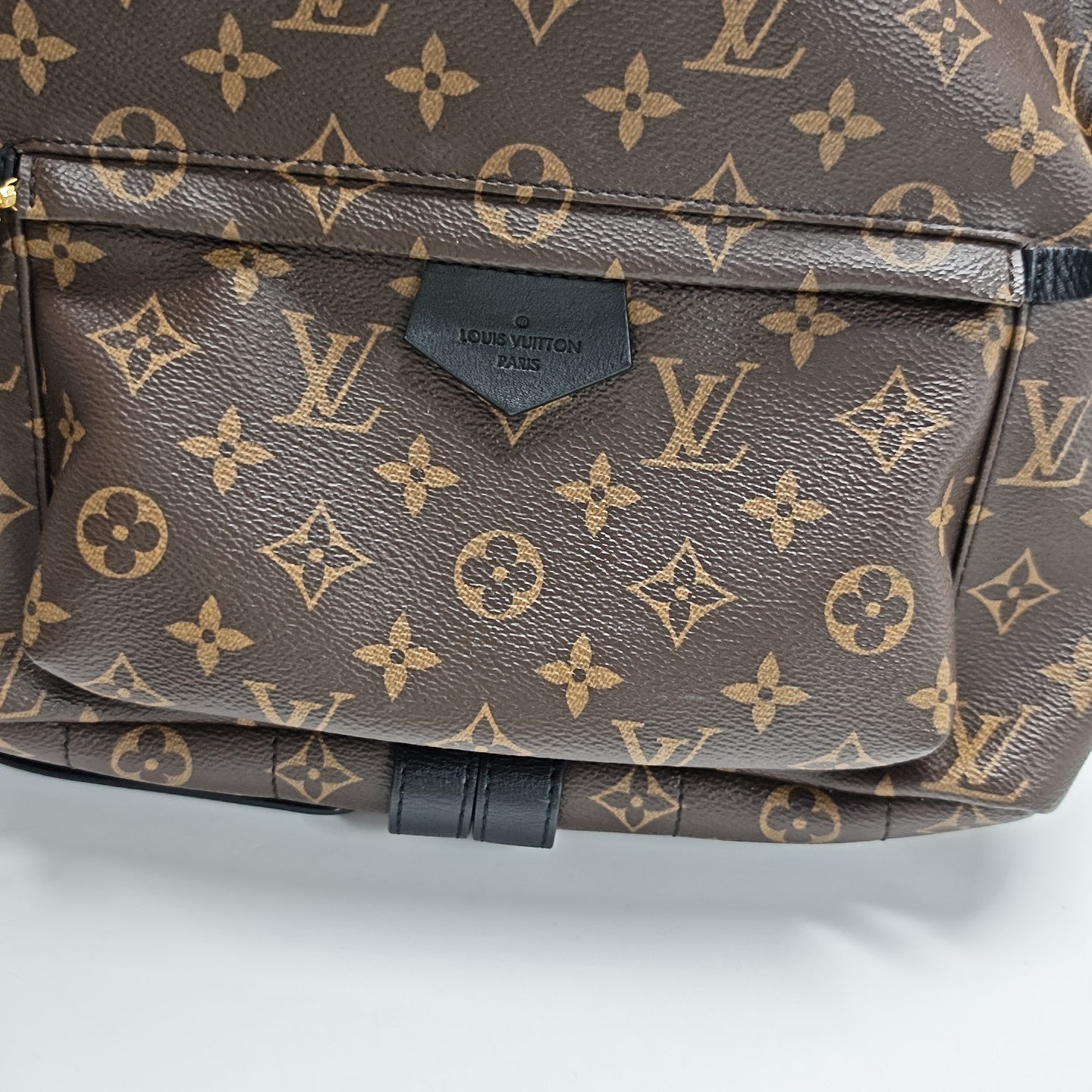 Monogram Coated Canvas Backpack Brown