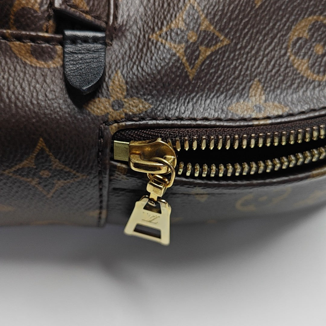 PALM SPRINGS PM Monogram Coated Canvas Brown