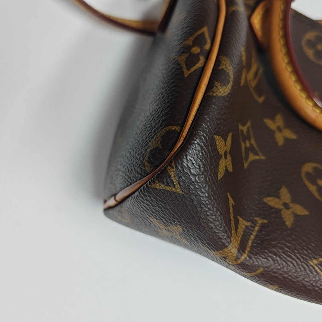 SPEEDY Nano Monogram Coated Canvas Brown