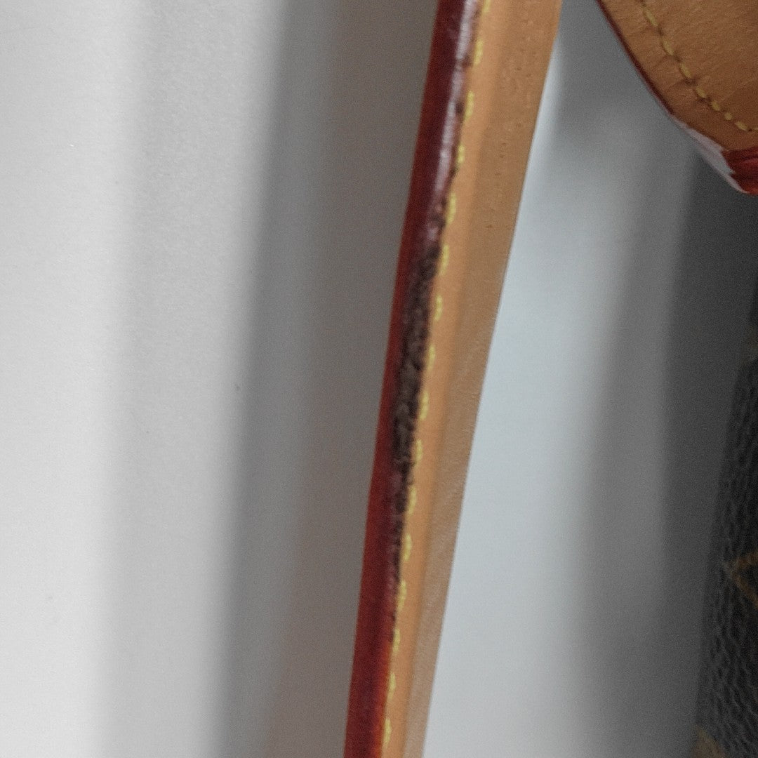SIDE TRUNK PM Monogram Coated Canvas Brown