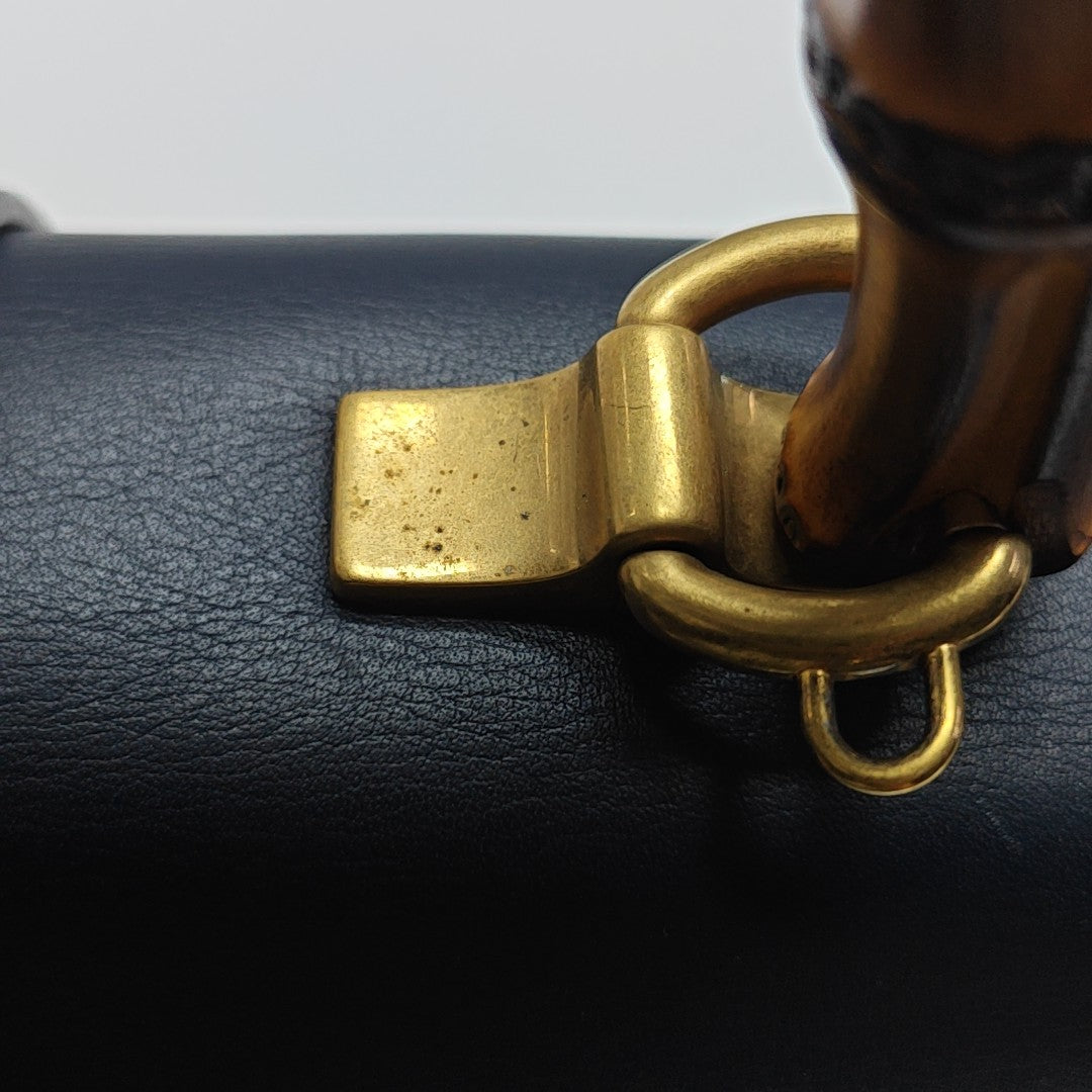 Dionysus Medium Calfskin Multicolor