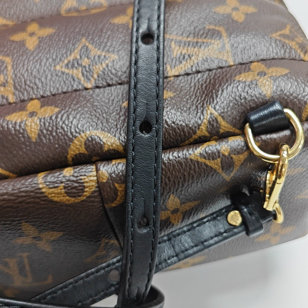 PALM SPRINGS Mini Monogram Coated Canvas Brown