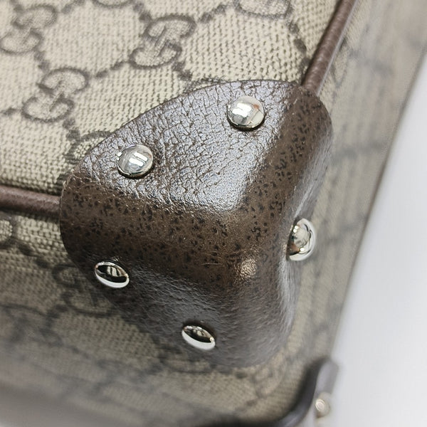 Trunk Monogram Coated Canvas Brown