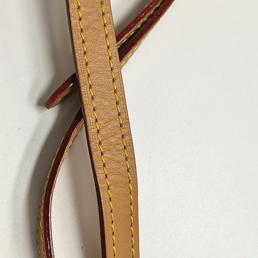 SPEEDY Nano Monogram Coated Canvas Brown