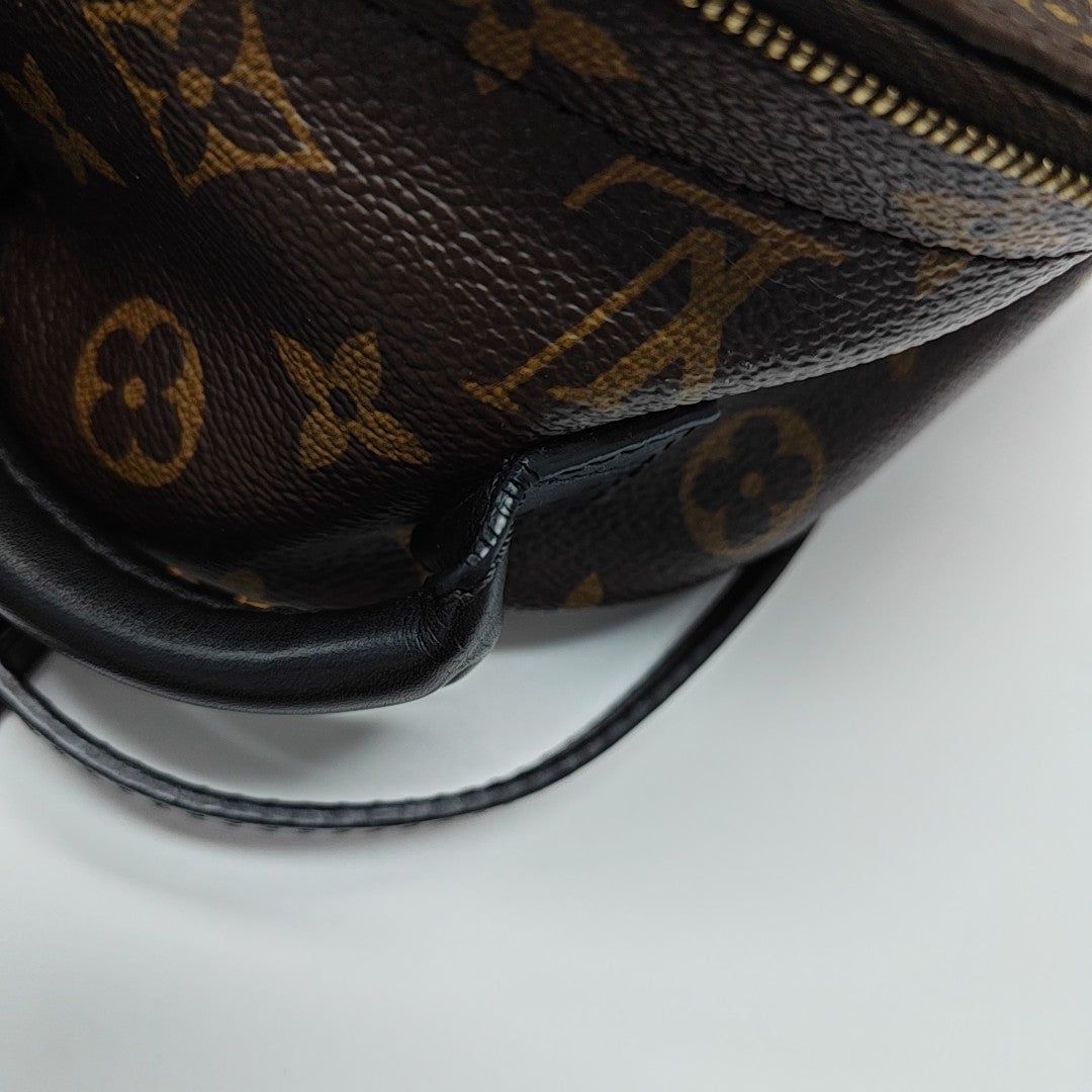 PALM SPRINGS Mini Monogram Coated Canvas Brown