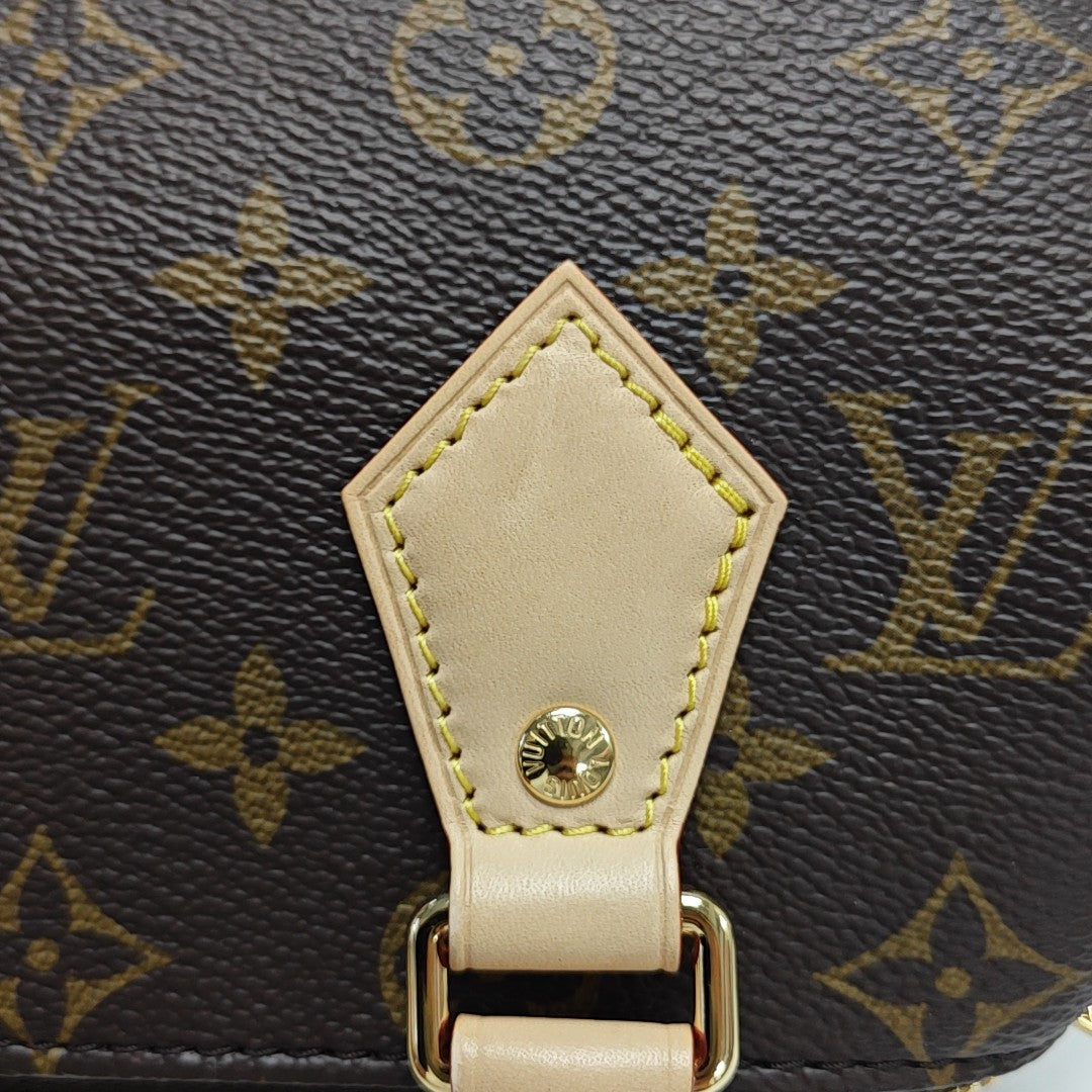 SPEEDY 20 Monogram Coated Canvas Brown