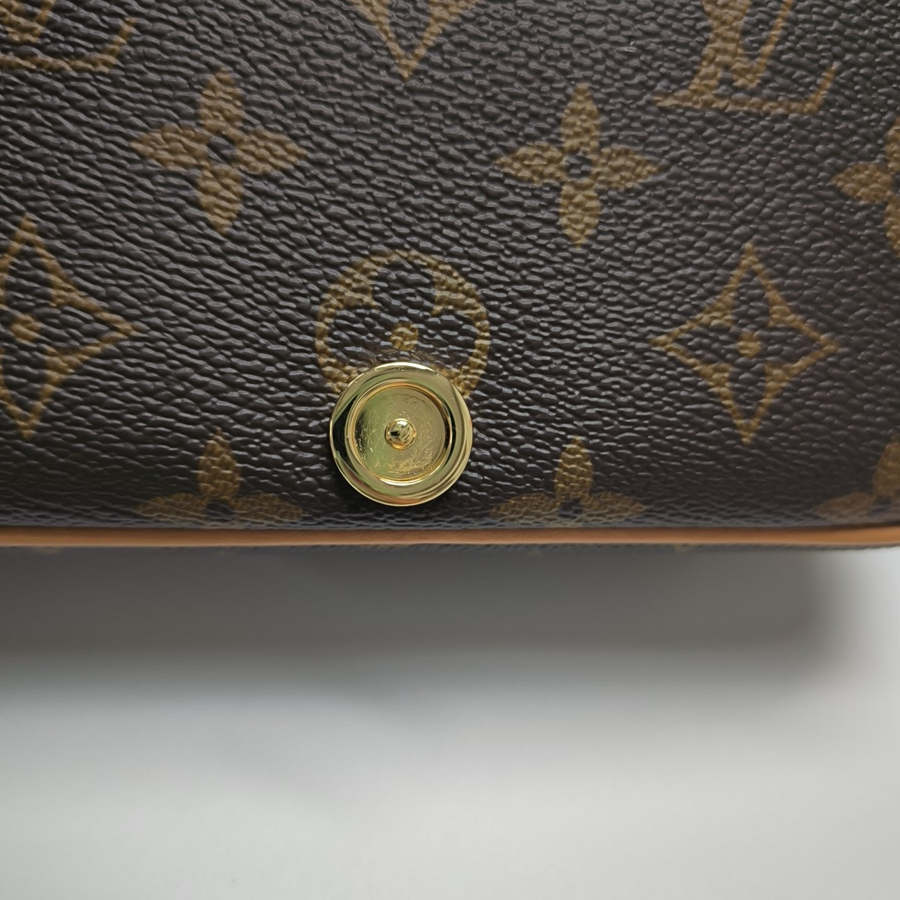 DIANE Nano Monogram Coated Canvas Brown
