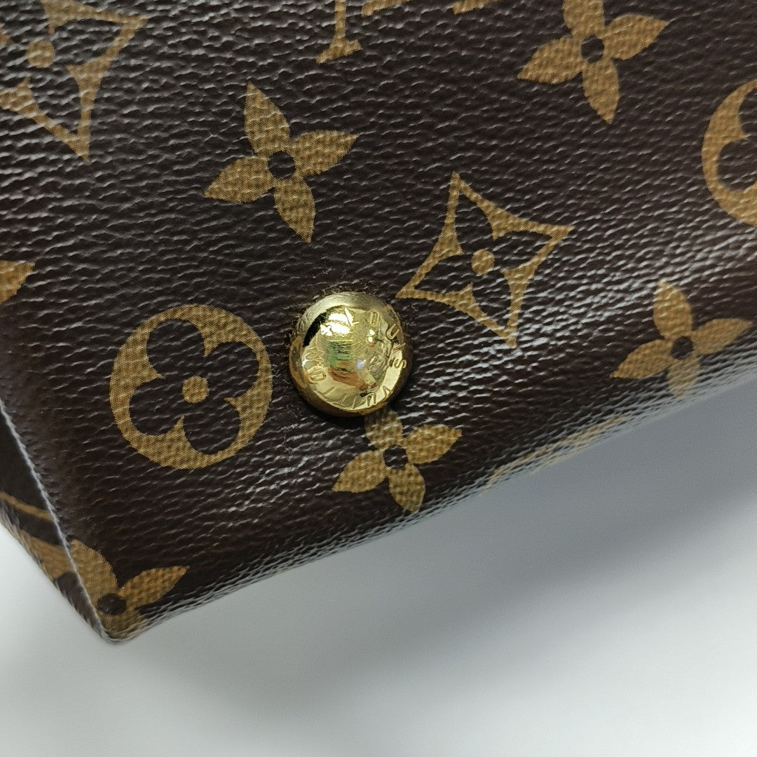 CARRYALL PM Monogram Coated Canvas Brown