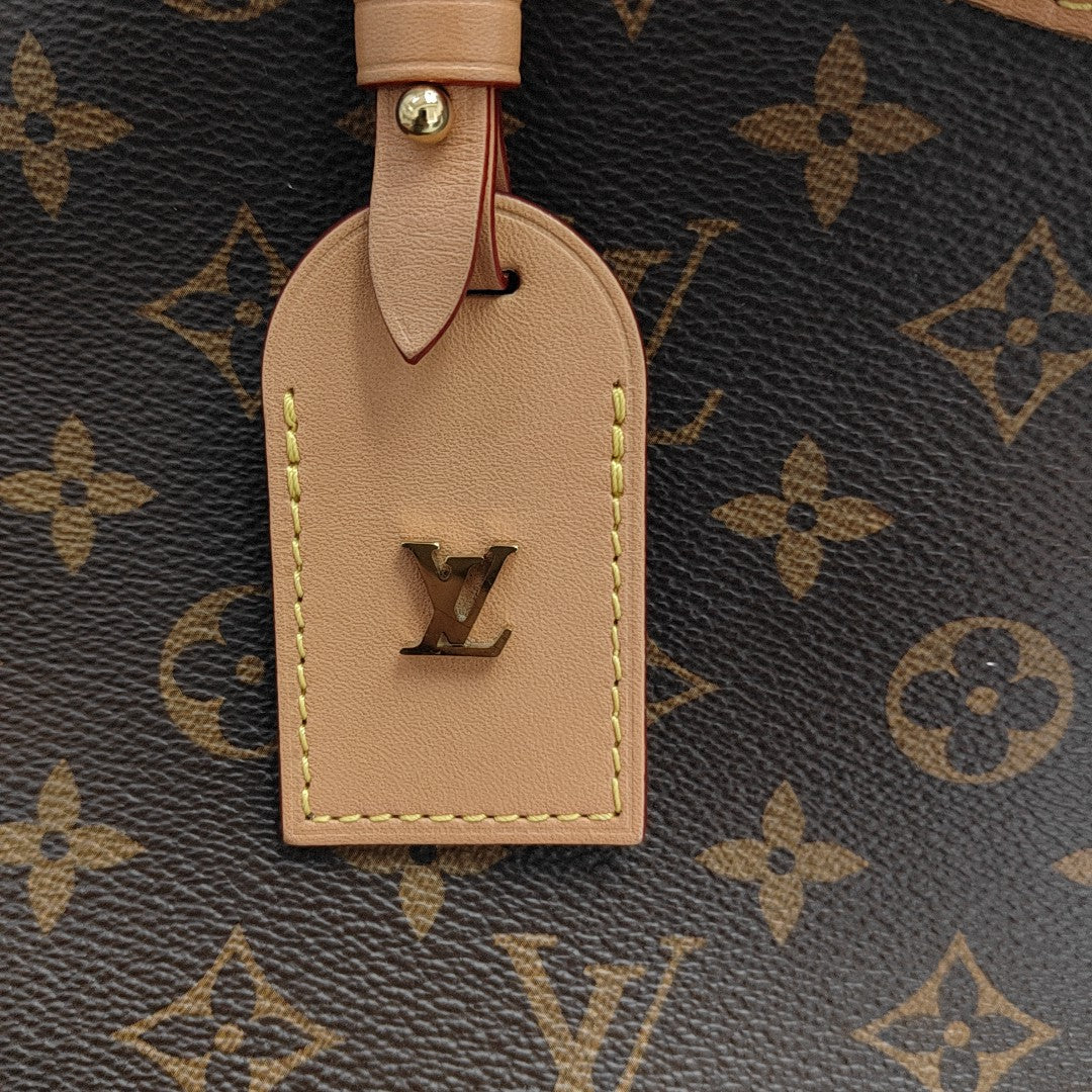 CARRYALL PM Monogram Coated Canvas Brown