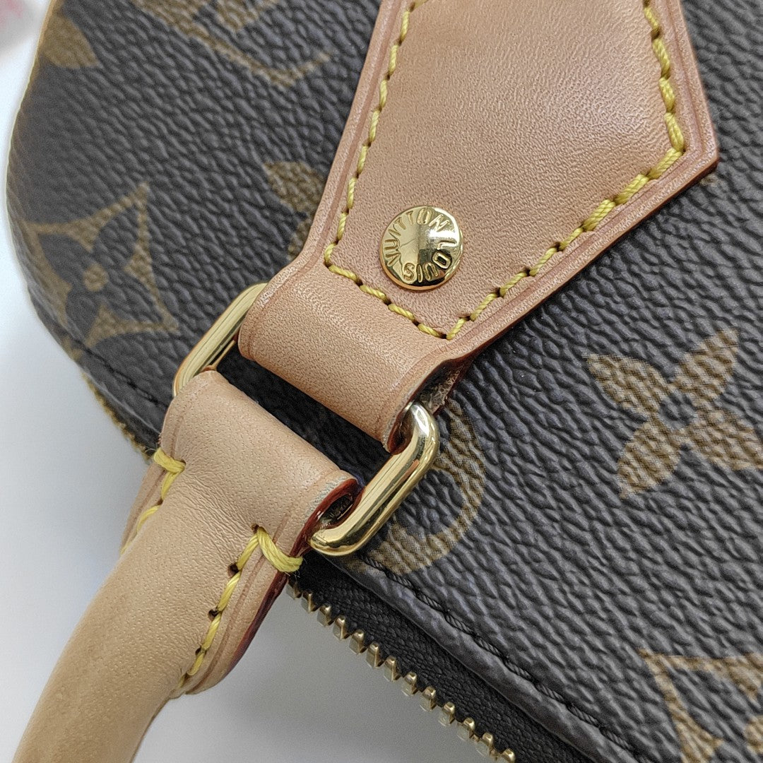 SPEEDY 20 Monogram Coated Canvas Brown