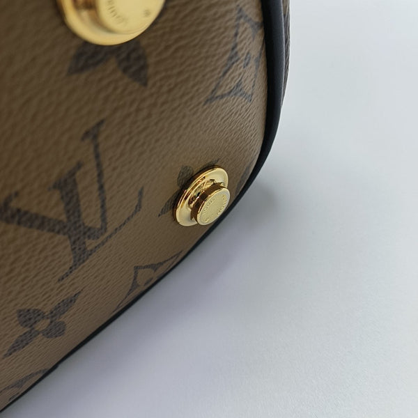VANITY PM Monogram Coated Canvas Brown