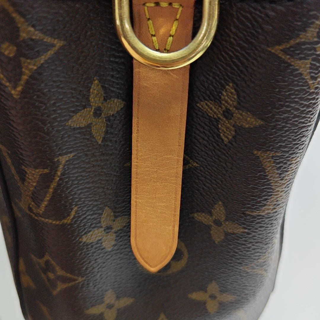 MONTAIGNE Monogram Coated Canvas Brown