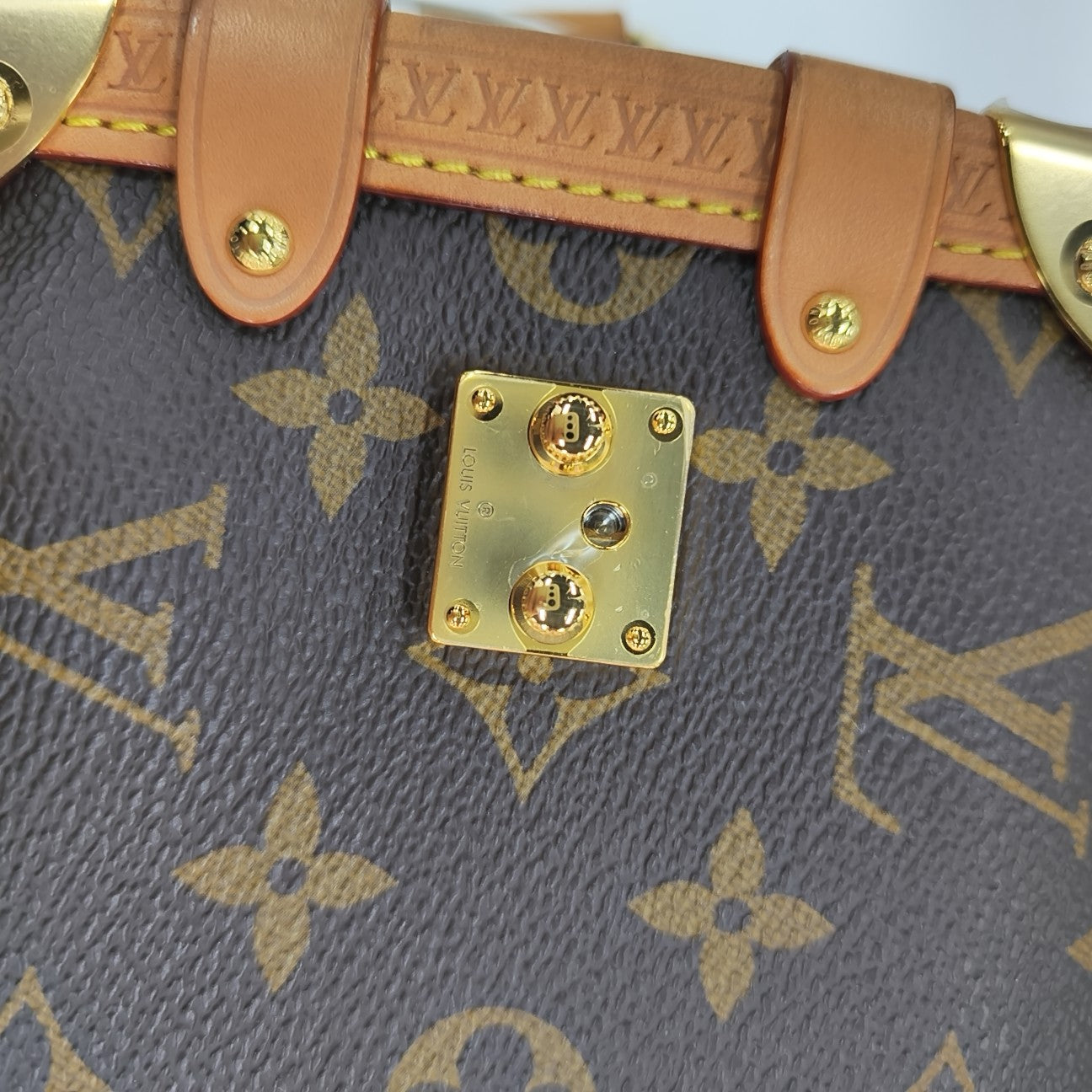 SIDE TRUNK PM Monogram Coated Canvas Brown