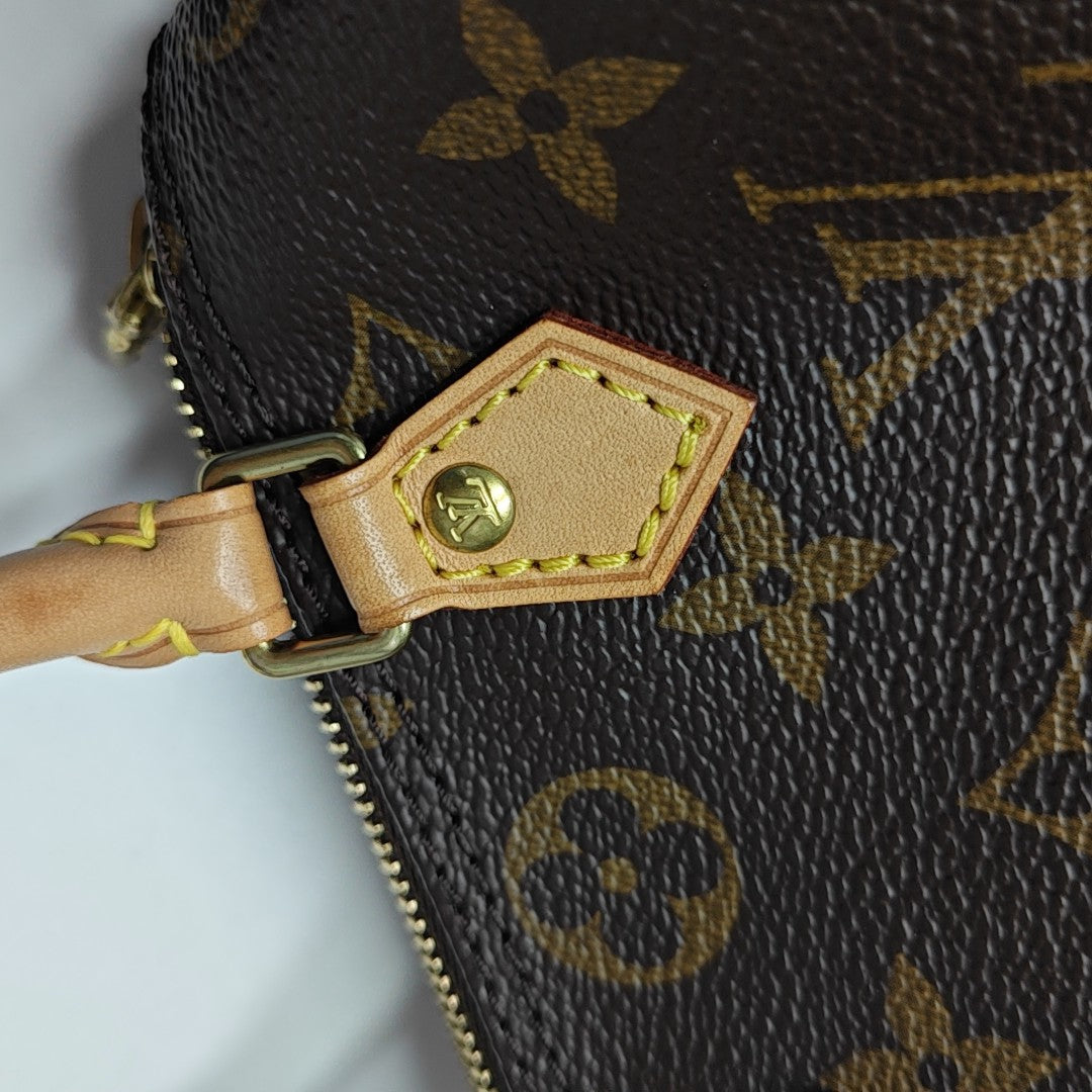 SPEEDY Nano Monogram Coated Canvas Brown
