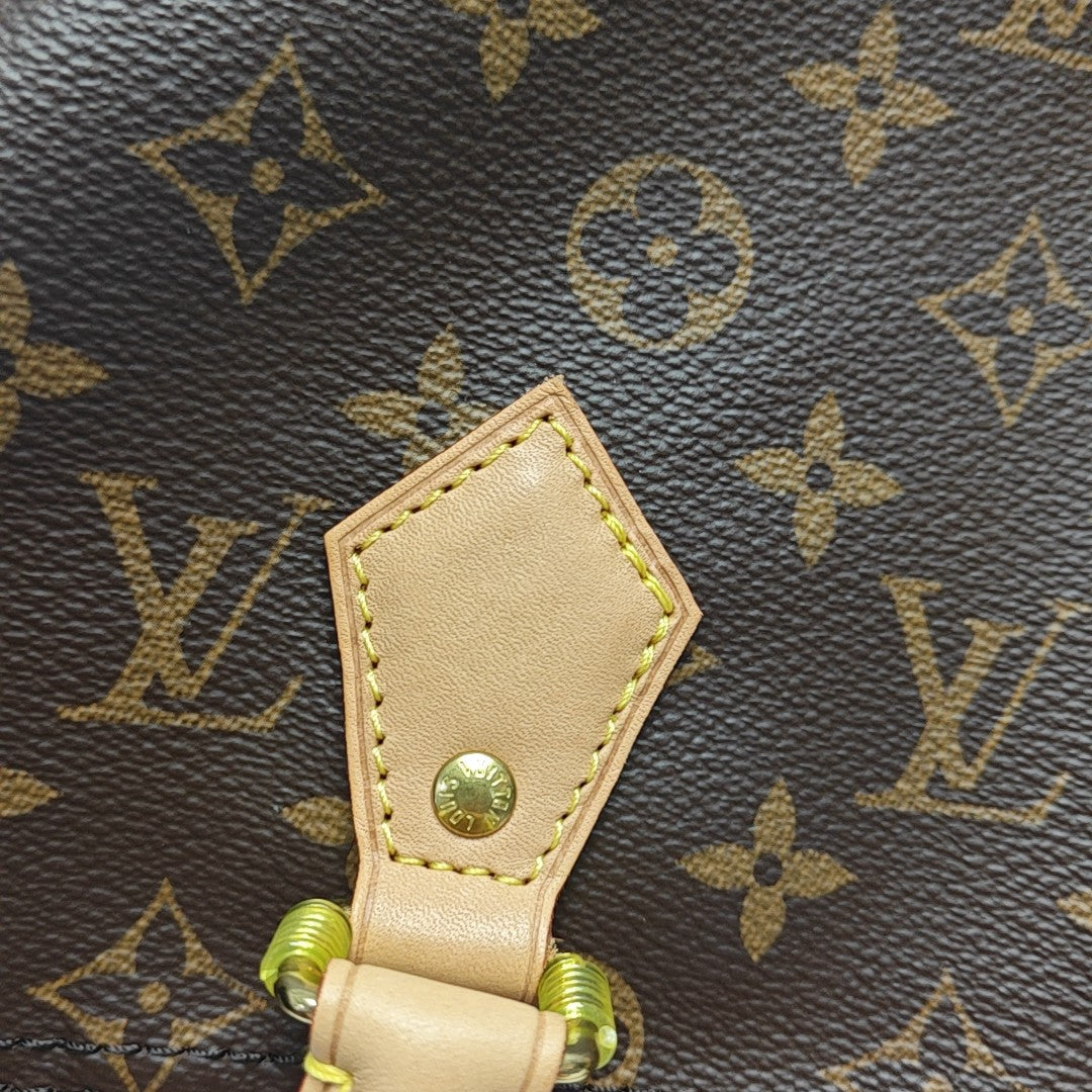 SPEEDY 25 Monogram Coated Canvas Brown