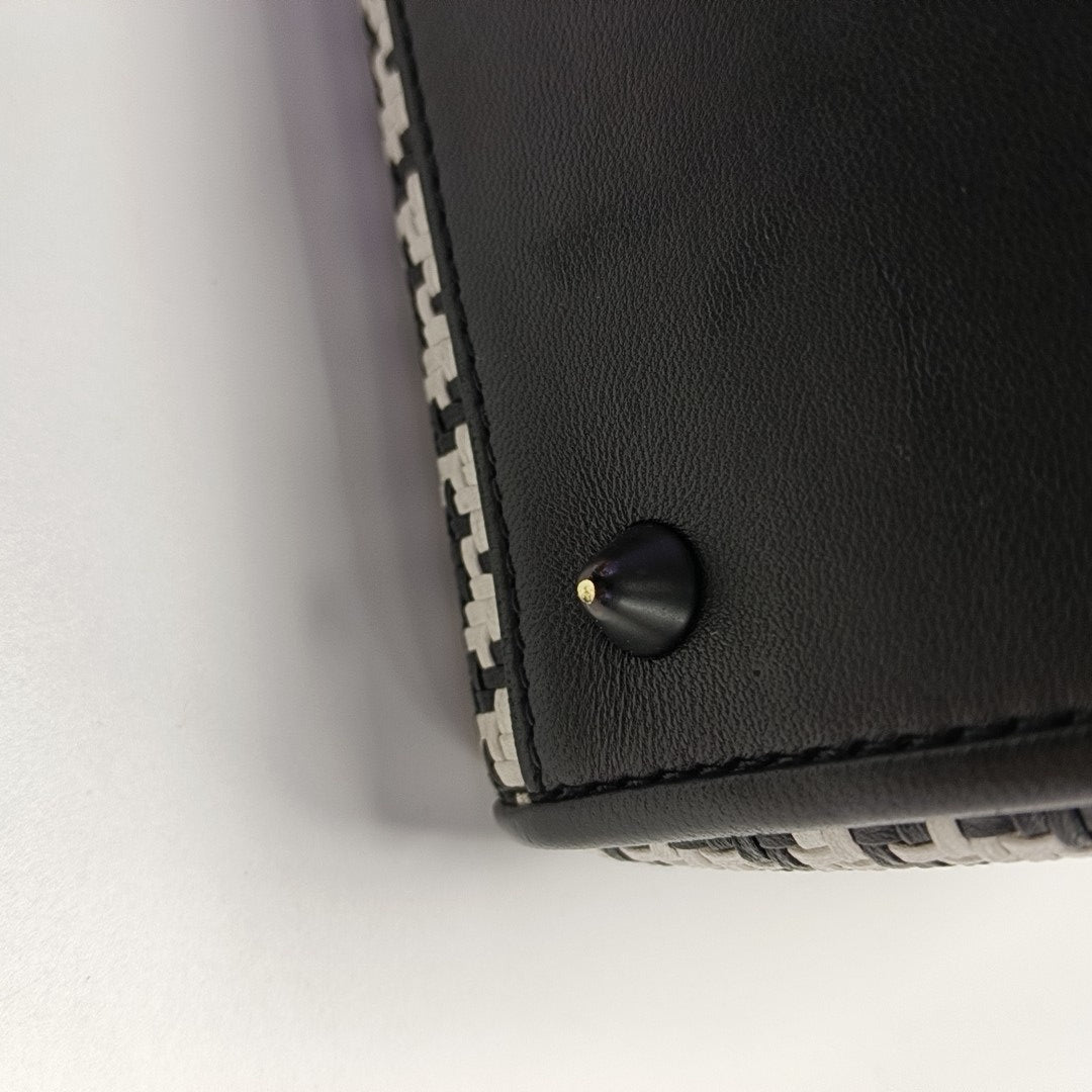 Lady Dior Medium Lambskin Multicolor