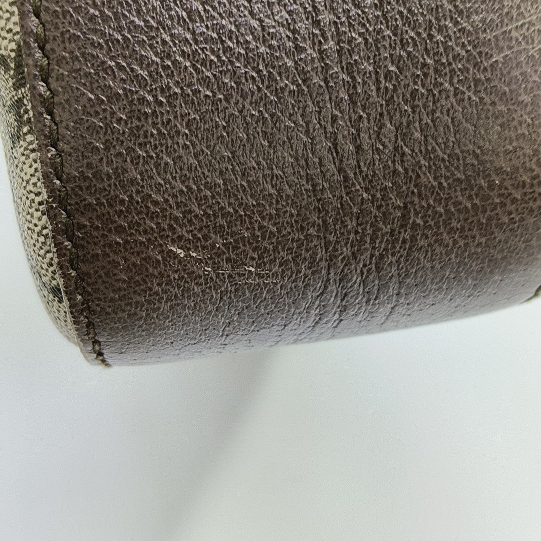 Neo Vintage Monogram Coated Canvas Beige