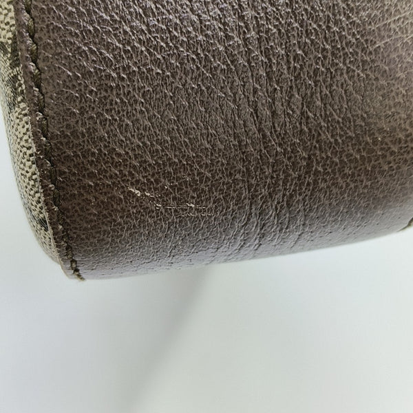 Neo Vintage Monogram Coated Canvas Beige