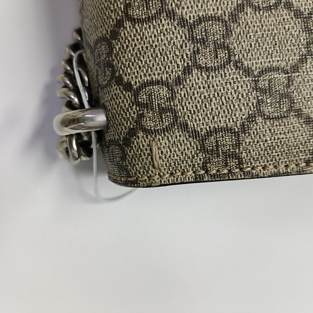 Dionysus Mini Monogram Coated Canvas Beige