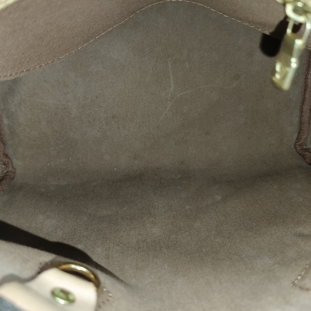 SPEEDY 25 Monogram Coated Canvas Brown