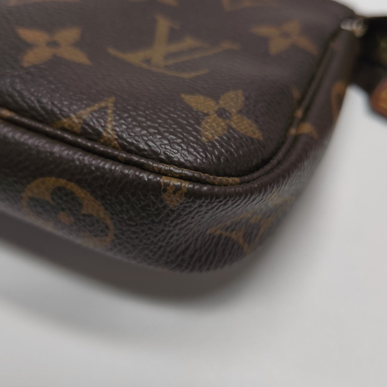 ACCESSOIRES Mini Monogram Coated Canvas Brown