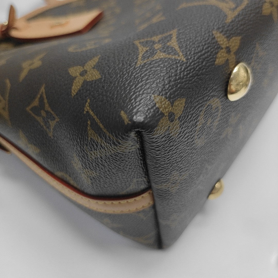 CARRYALL PM Monogram Coated Canvas Brown