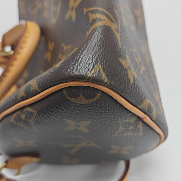 SPEEDY Nano Monogram Coated Canvas Brown