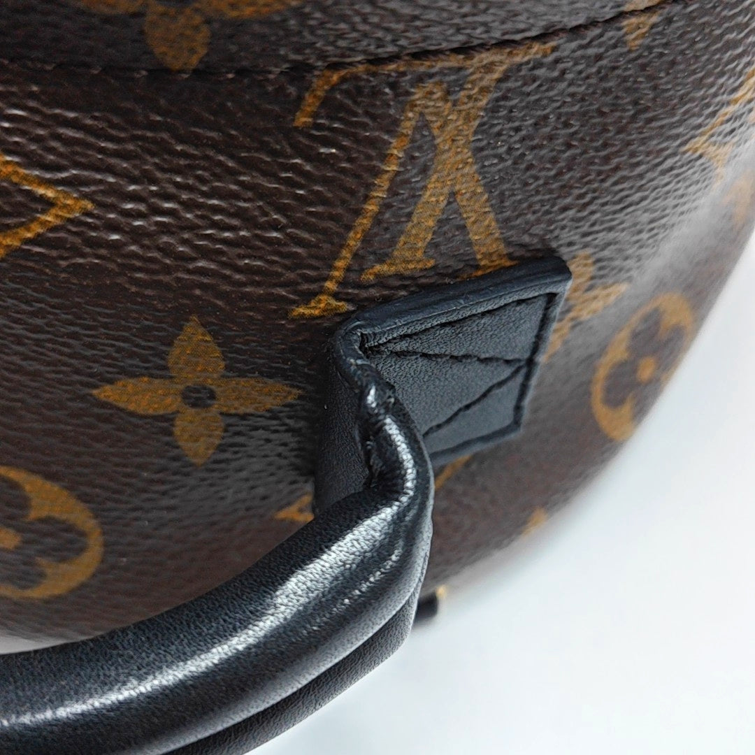 PALM SPRINGS Mini Monogram Coated Canvas Brown