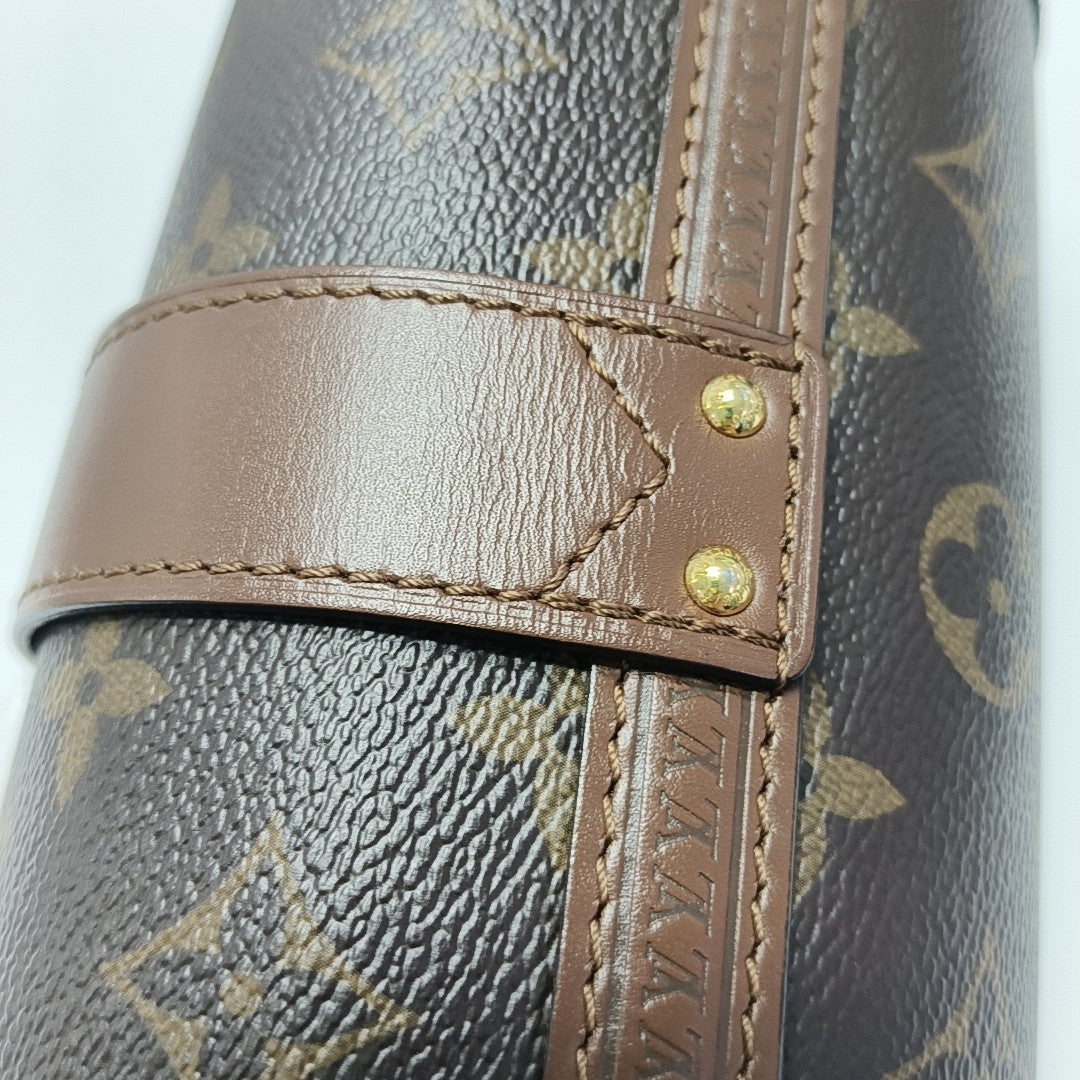 PAPILLON 19 Monogram Coated Canvas Brown