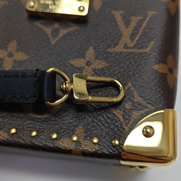 CAMERA BOX Monogram Coated Canvas Brown