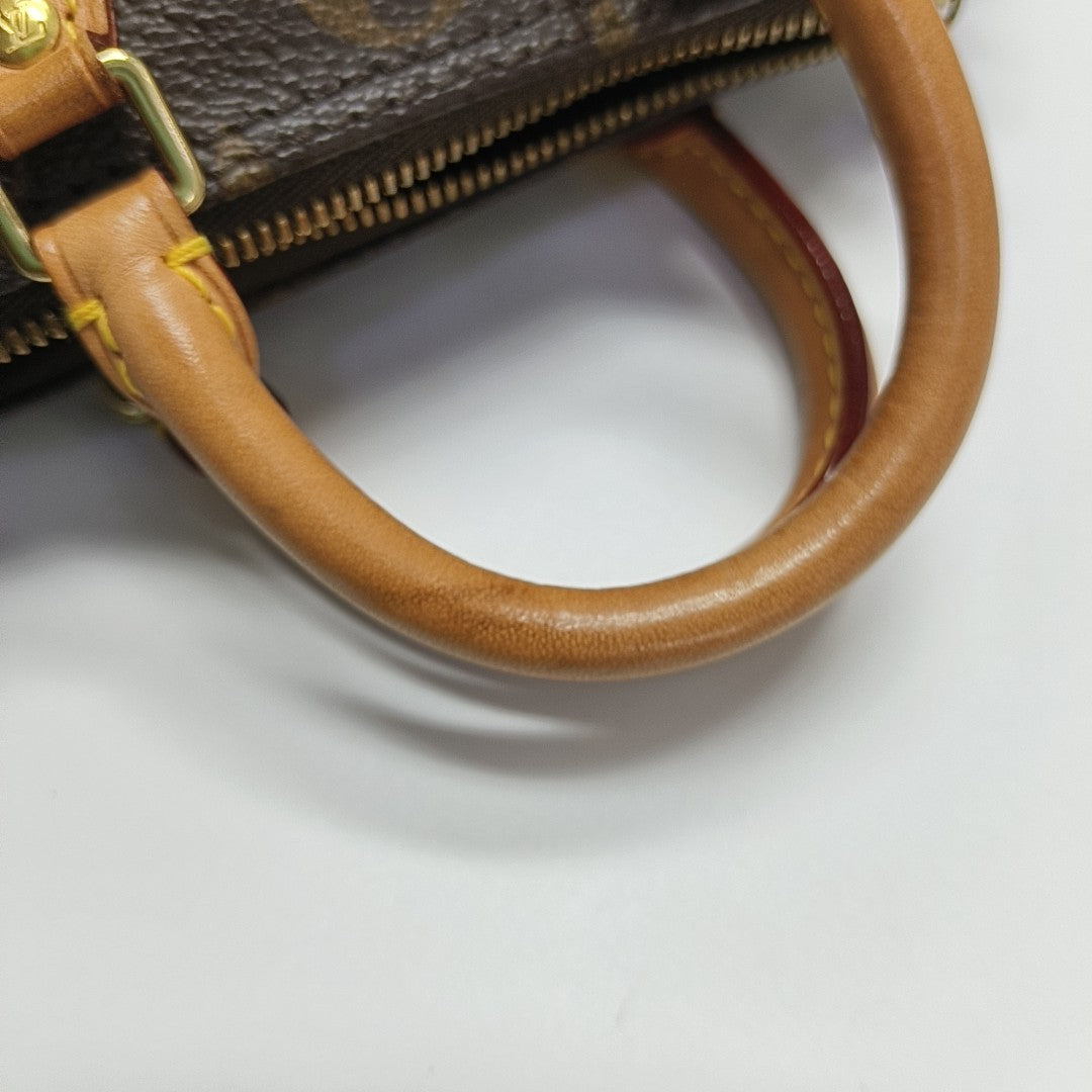 SPEEDY Nano Monogram Coated Canvas Brown