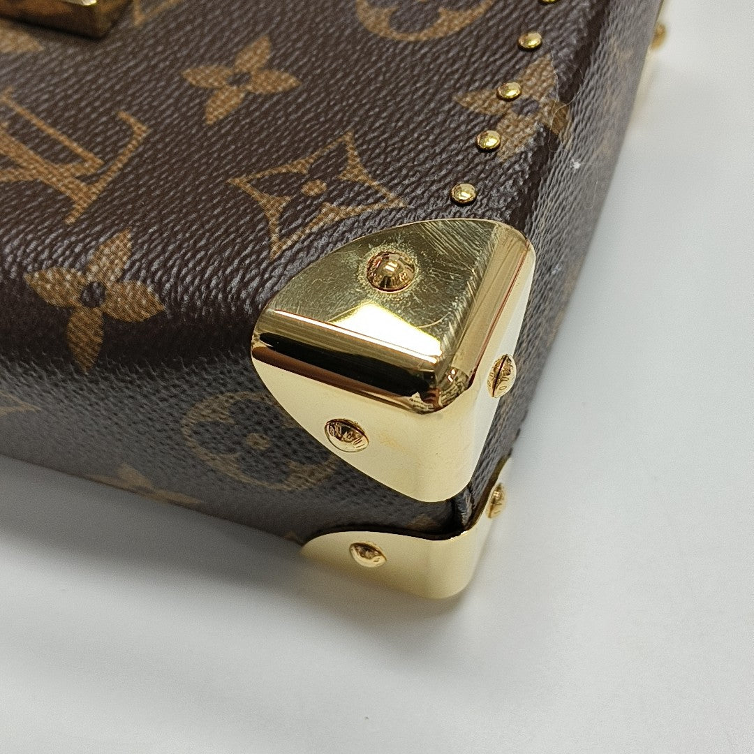 CAMERA BOX Monogram Coated Canvas Brown