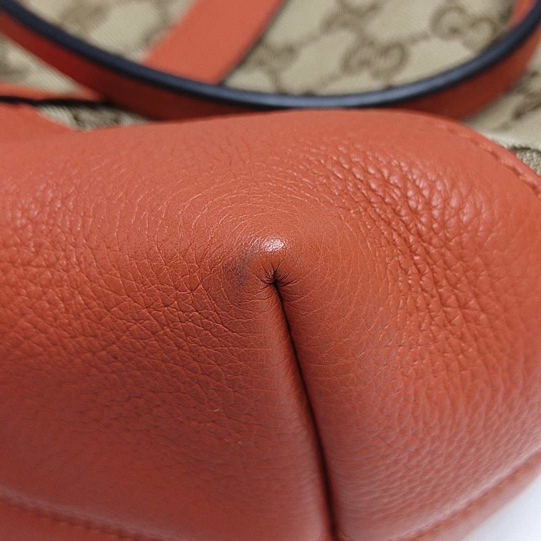 Miss GG Monogram Canvas Brown