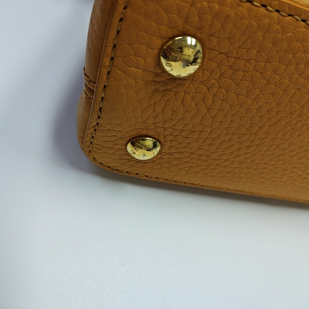 CAPUCINES Mini Calfskin Orange