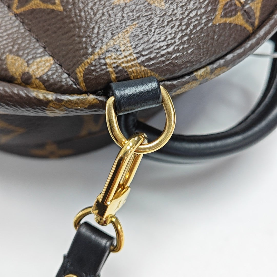 PALM SPRINGS Mini Monogram Coated Canvas Brown